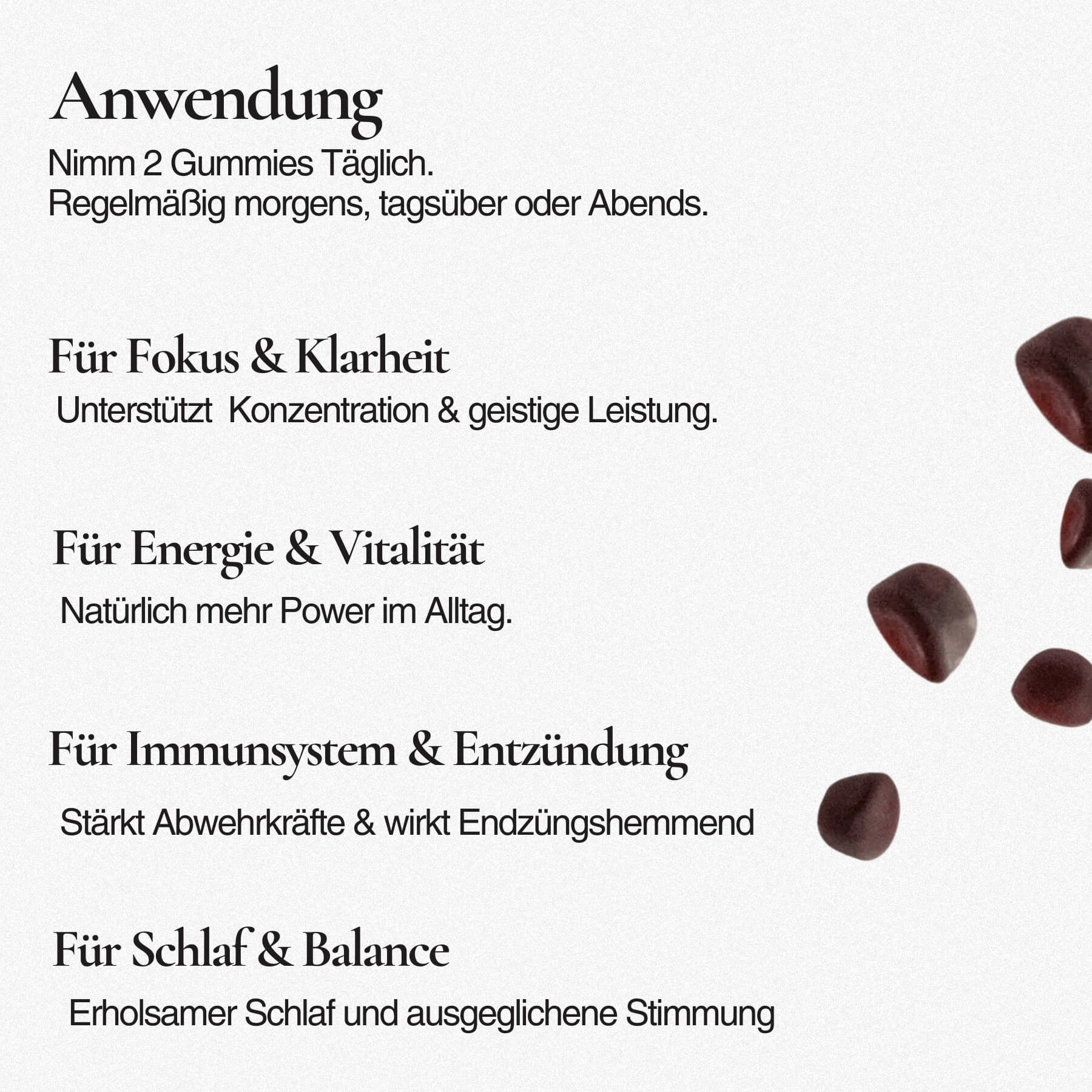 OneBrain Vitalpilz Gummies