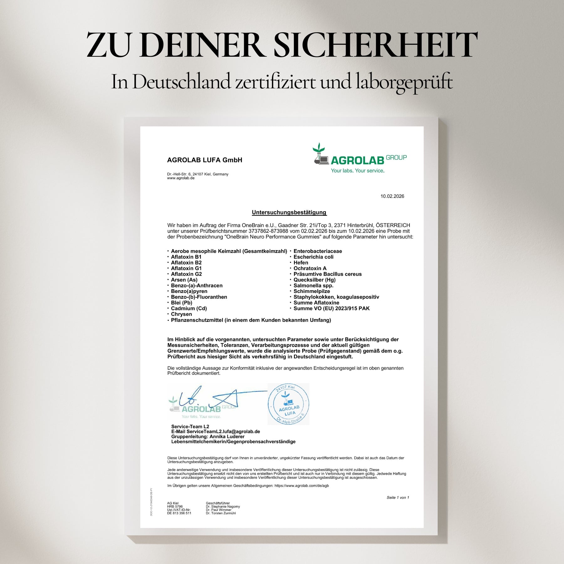 OneBrain Vitalpilz Gummies