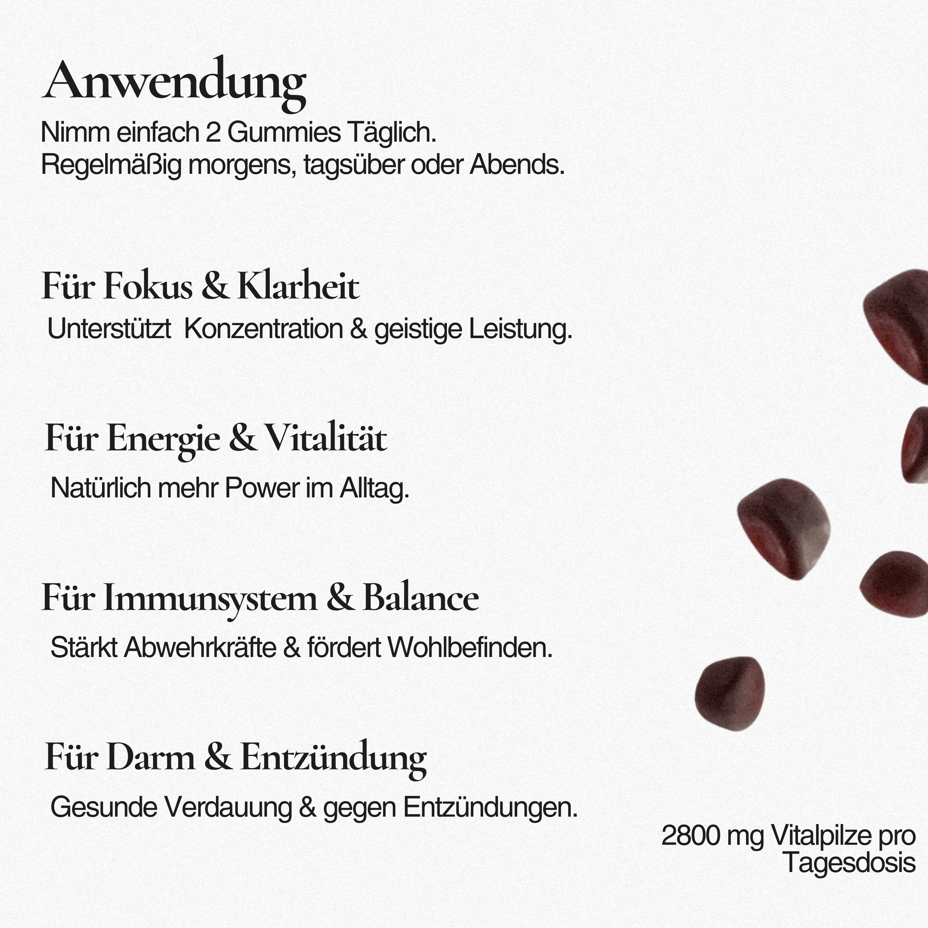OneBrain Vitalpilz Gummies