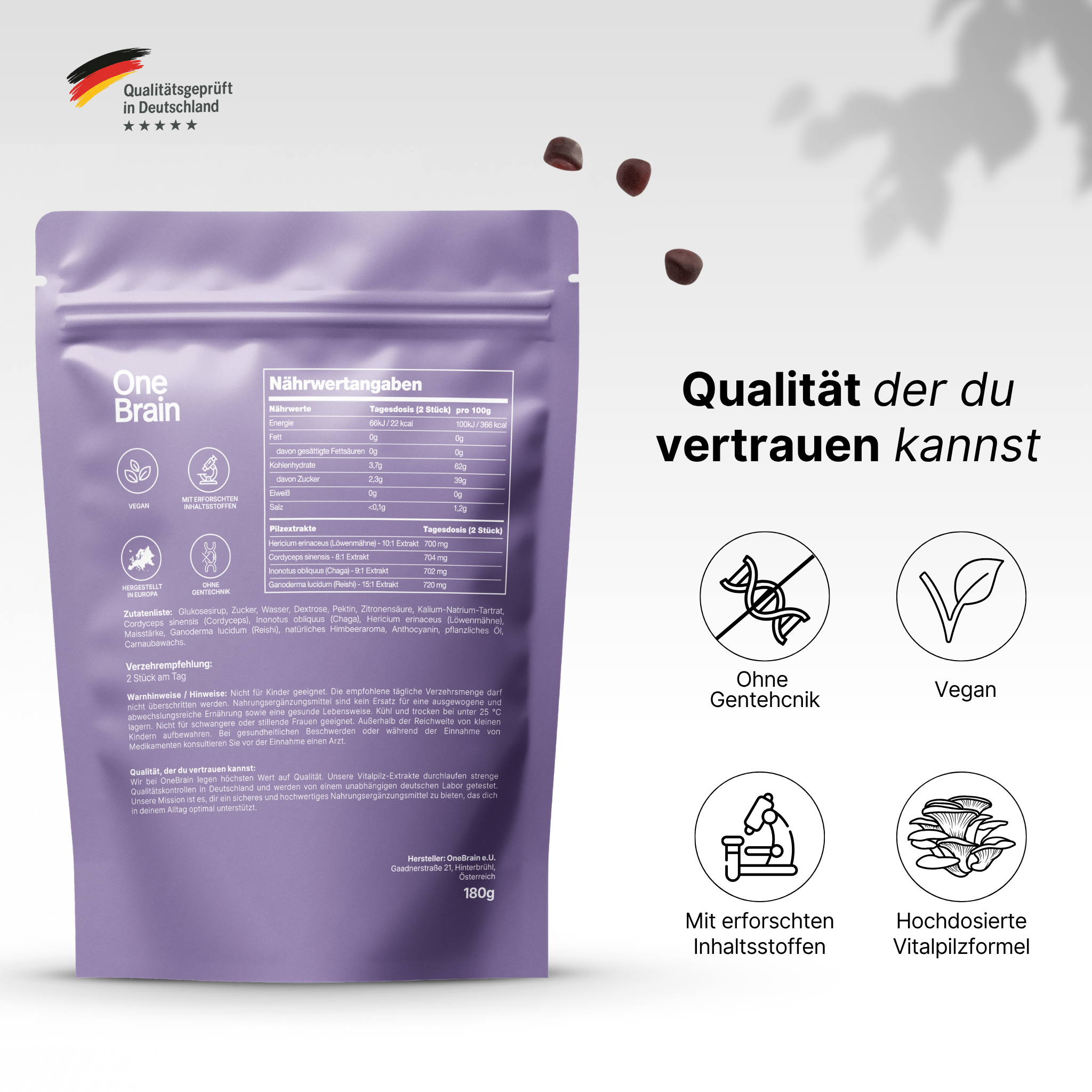OneBrain Vitalpilz Gummies