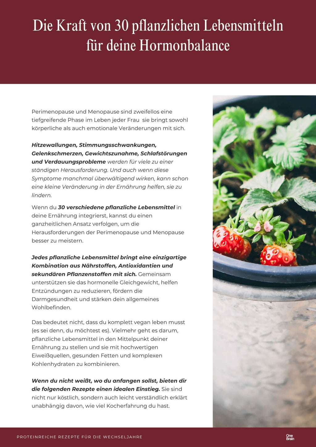 Proteinreiche Rezepte für die Wechseljahre