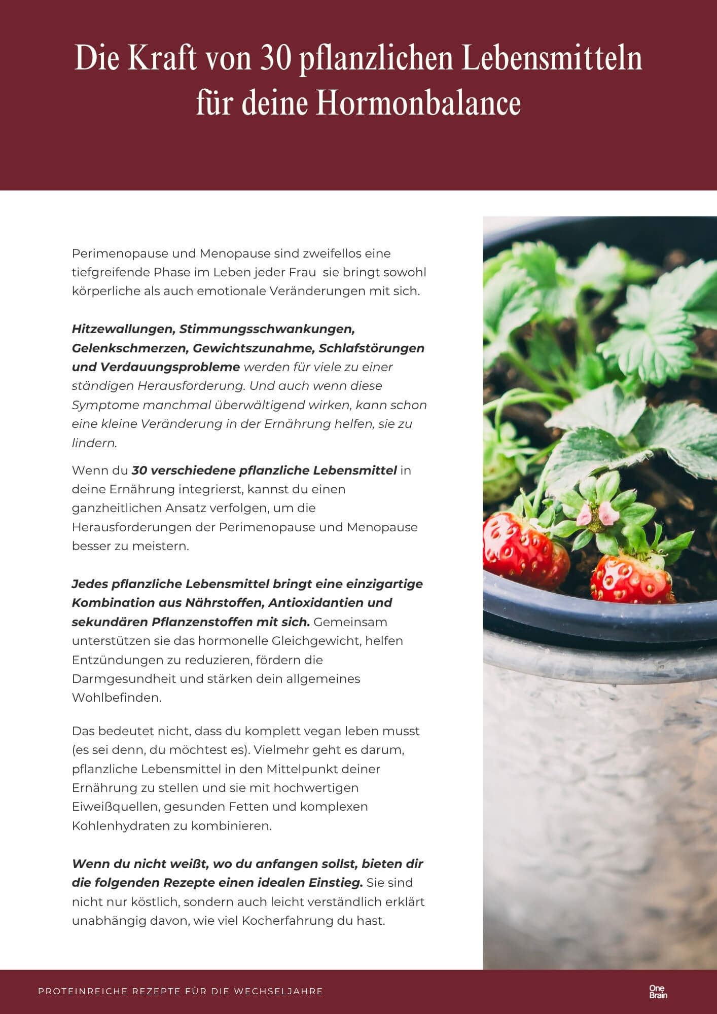 Proteinreiche Rezepte für die Wechseljahre