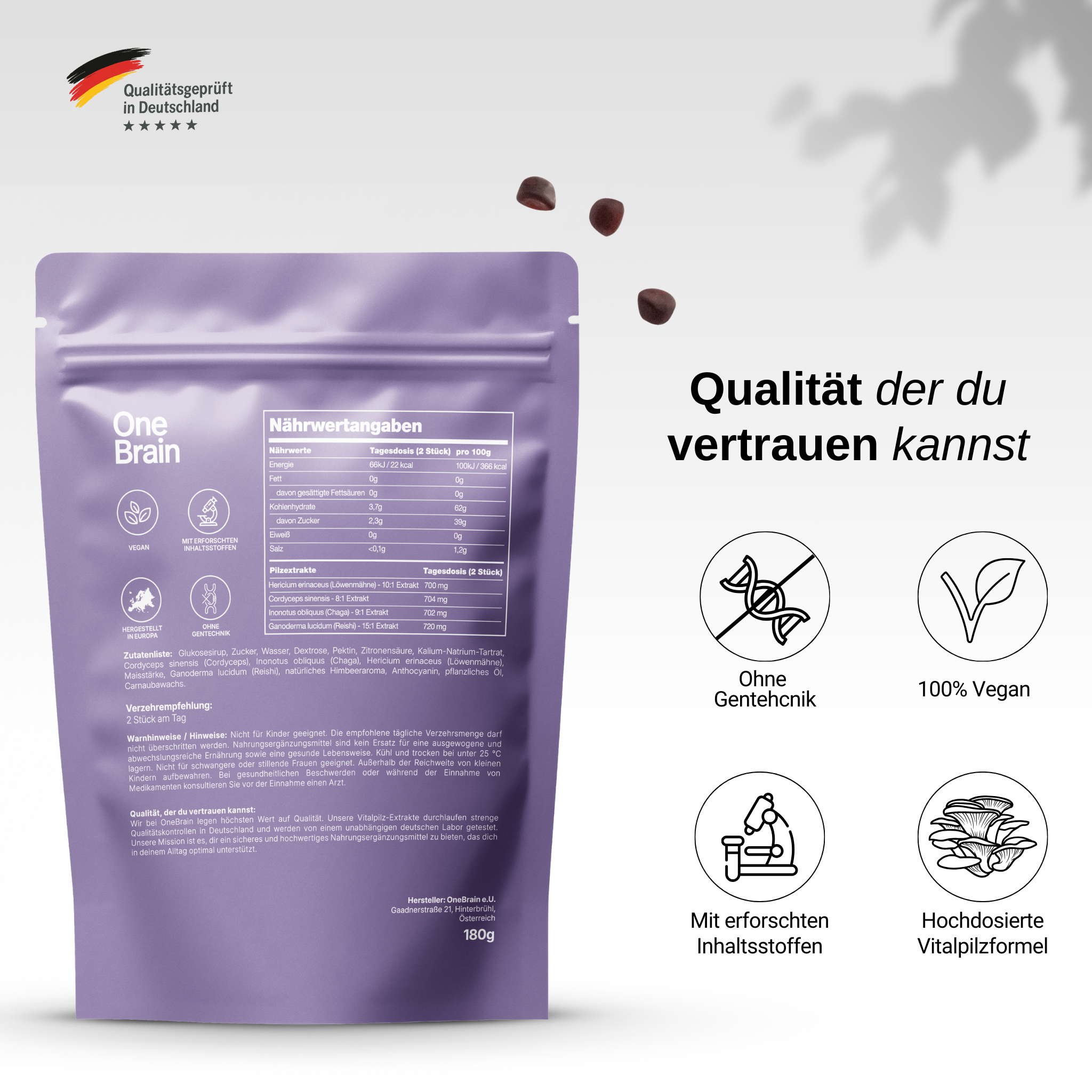 OneBrain Vitalpilz Gummies