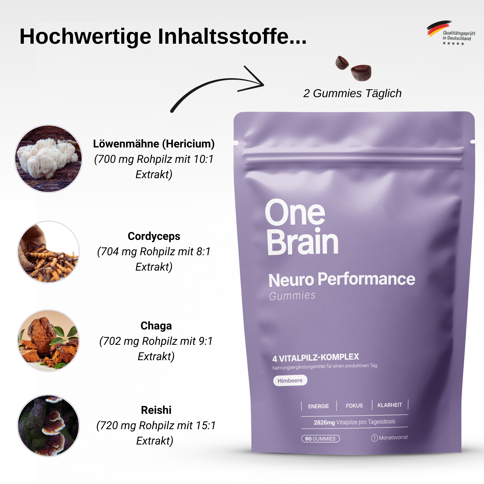 OneBrain Vitalpilz Gummies