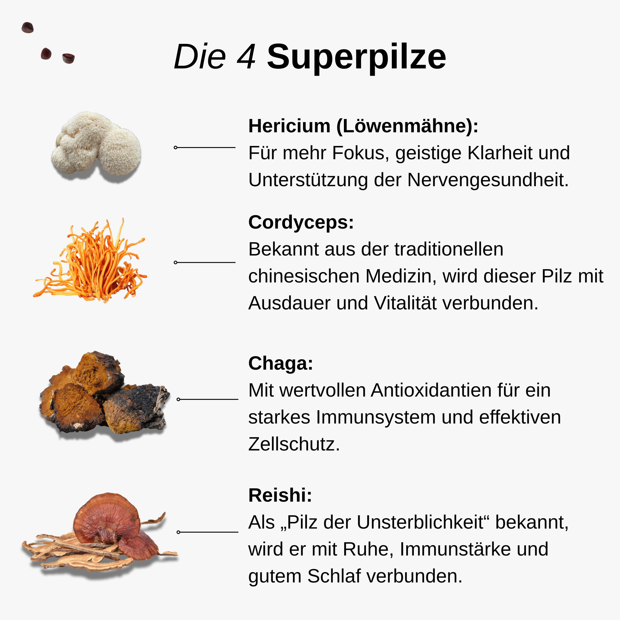 OneBrain Vitalpilz Gummies